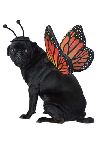 Pet Monarch Butterfly Dog Costume