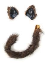 Brown Furry Cat Tail and Ears Alt 2