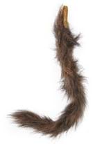 Brown Furry Cat Tail and Ears Alt 5