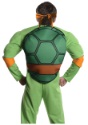 Deluxe Adult Michelangelo back