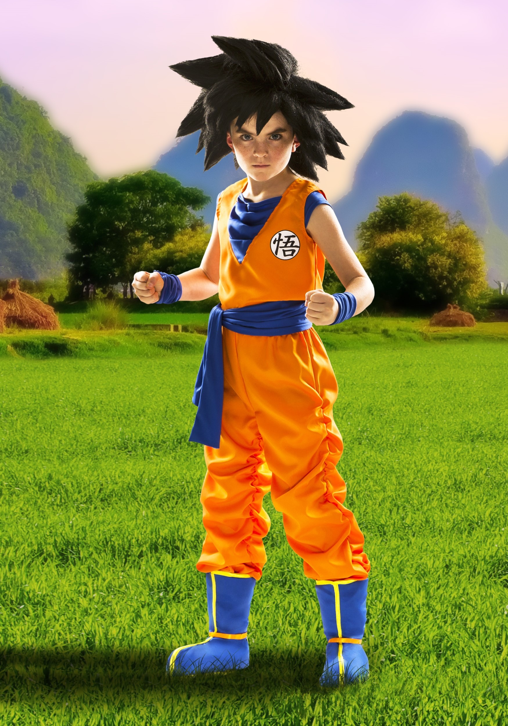 HalloweenCostumes.com X Small Boy Dragon Ball Z Boy's Goku Costume.,  Black/Orange