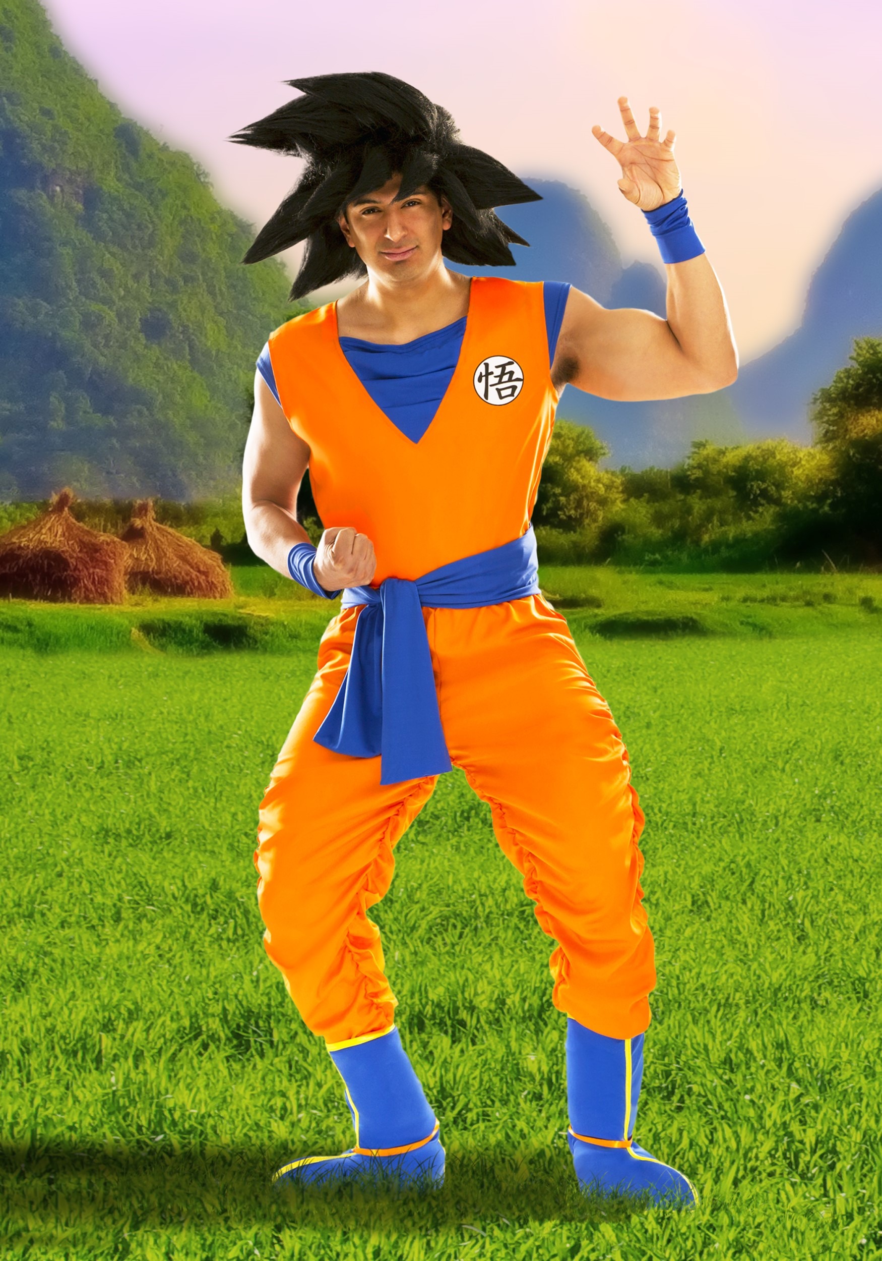 Dragonball Goku costume – Birds and Bees – us not it