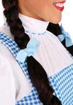 Adult Dorothy Costume Alt 1