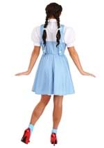 Adult Dorothy Costume Alt 7