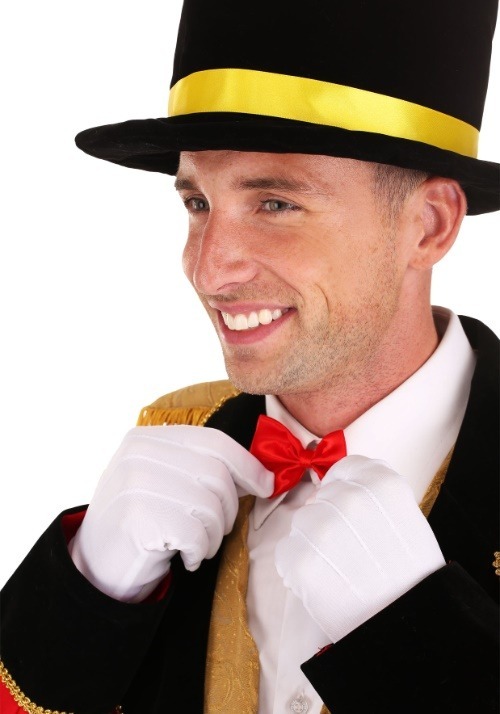 Men's Ringmaster Costume | Ringmaster Costumes