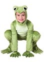 Kid's Deluxe Frog Costume 1