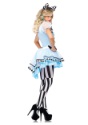 Adult Psychedelic Alice Costume Image 2