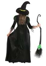 Women's Storybook Witch Costume Alt 1