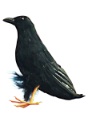 10" Raven Prop