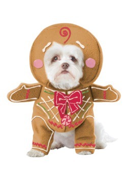 Gingerbread Pup Dog Costume