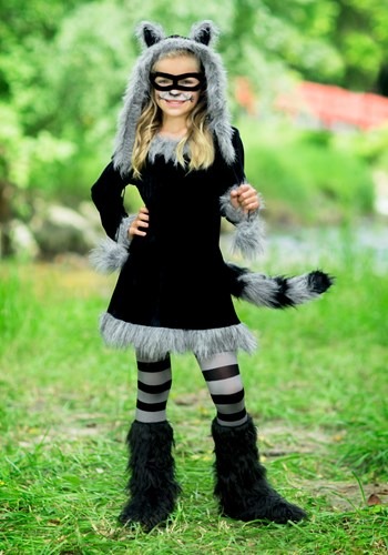 Sweet Raccoon Girls Costume new