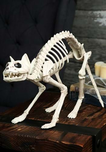 Keira the Cat Skeleton ~ $30