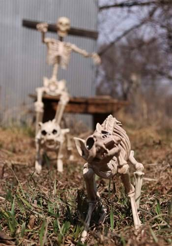 skeleton cat statue