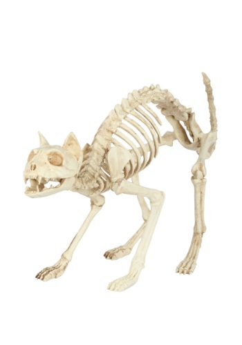 skeleton cat statue