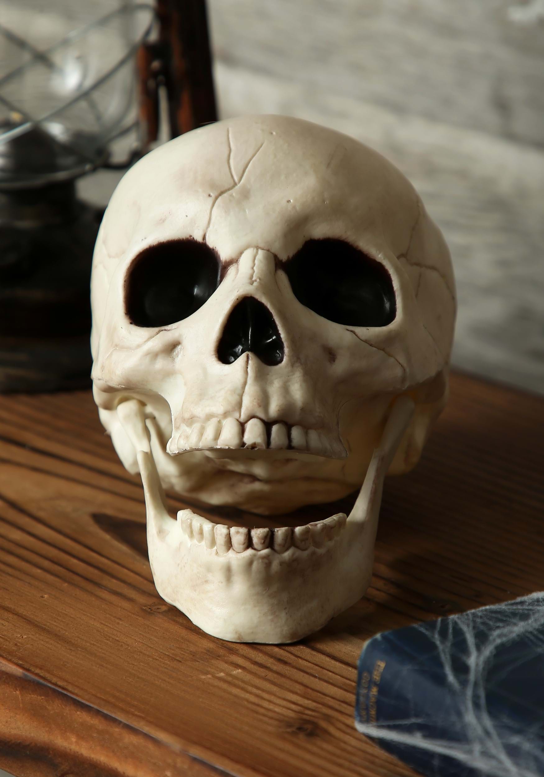 Skull Movable Jaw