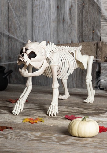11-Inch Skeleton Dog Bones the Hungry Hound Decoration | Animal Skeletons