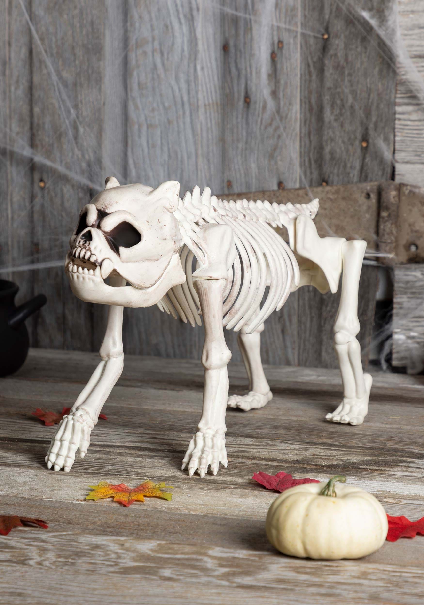 W80372 Crazy Bones Skeleton Dog Halloween Decoration 