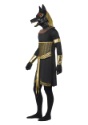 Mens Anubis the Jackal Costume alt2