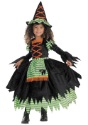 Toddler Storybook Witch Costume