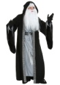 Adult Deluxe Wizard Costume