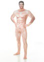 Adult Naked Sexy Man Faux Real Morphsuit