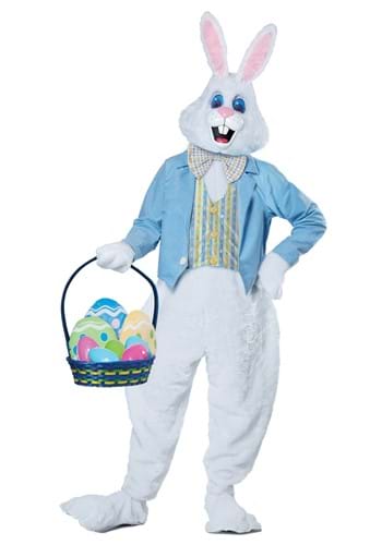Buy Rabbit costume for Boys and Girls online low price fast delivery –  fancydresswale.com