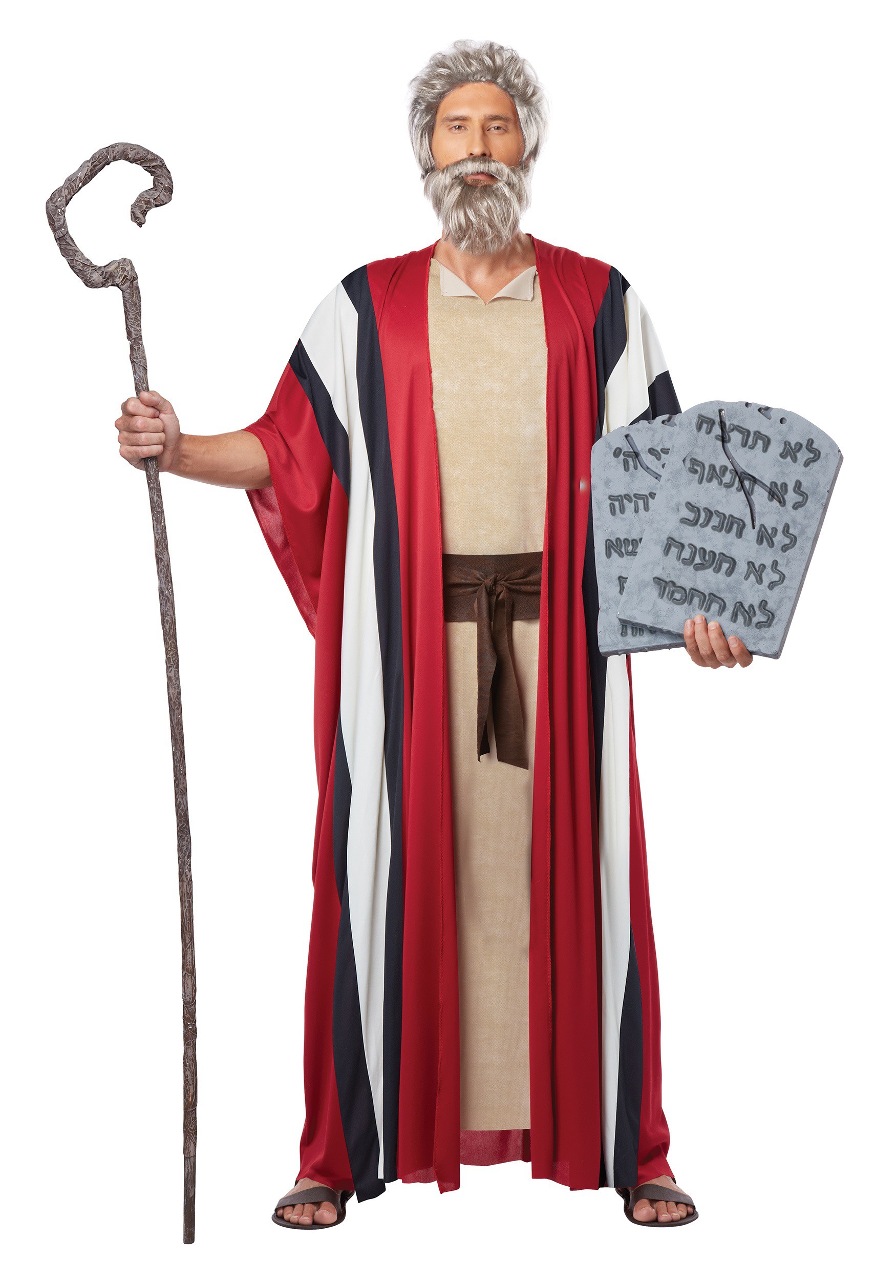 Men's Moses Costume