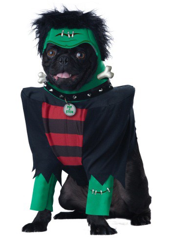 Top 10 Scary Halloween Dog Costumes - DogVills