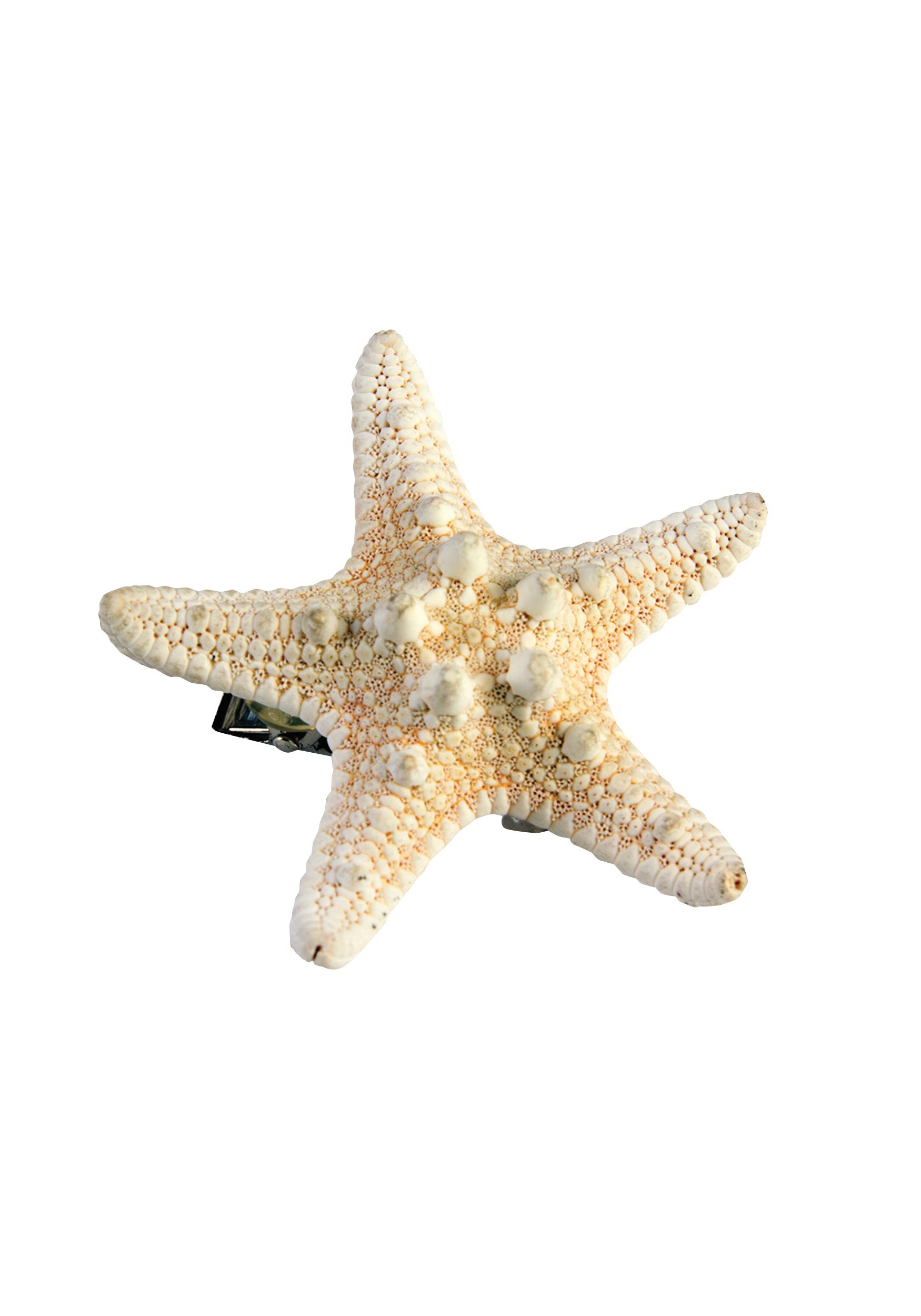 starfish hair clip