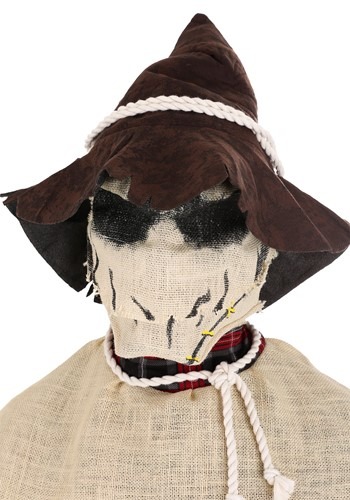 Sadistic Scarecrow Adult Costume