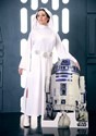 Deluxe Adult Princess Leia Costume Alt 9