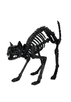 Black Skeleton Cat Prop