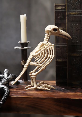 8-Inch Raven Skeleton Halloween Decoration | Animal Skeletons