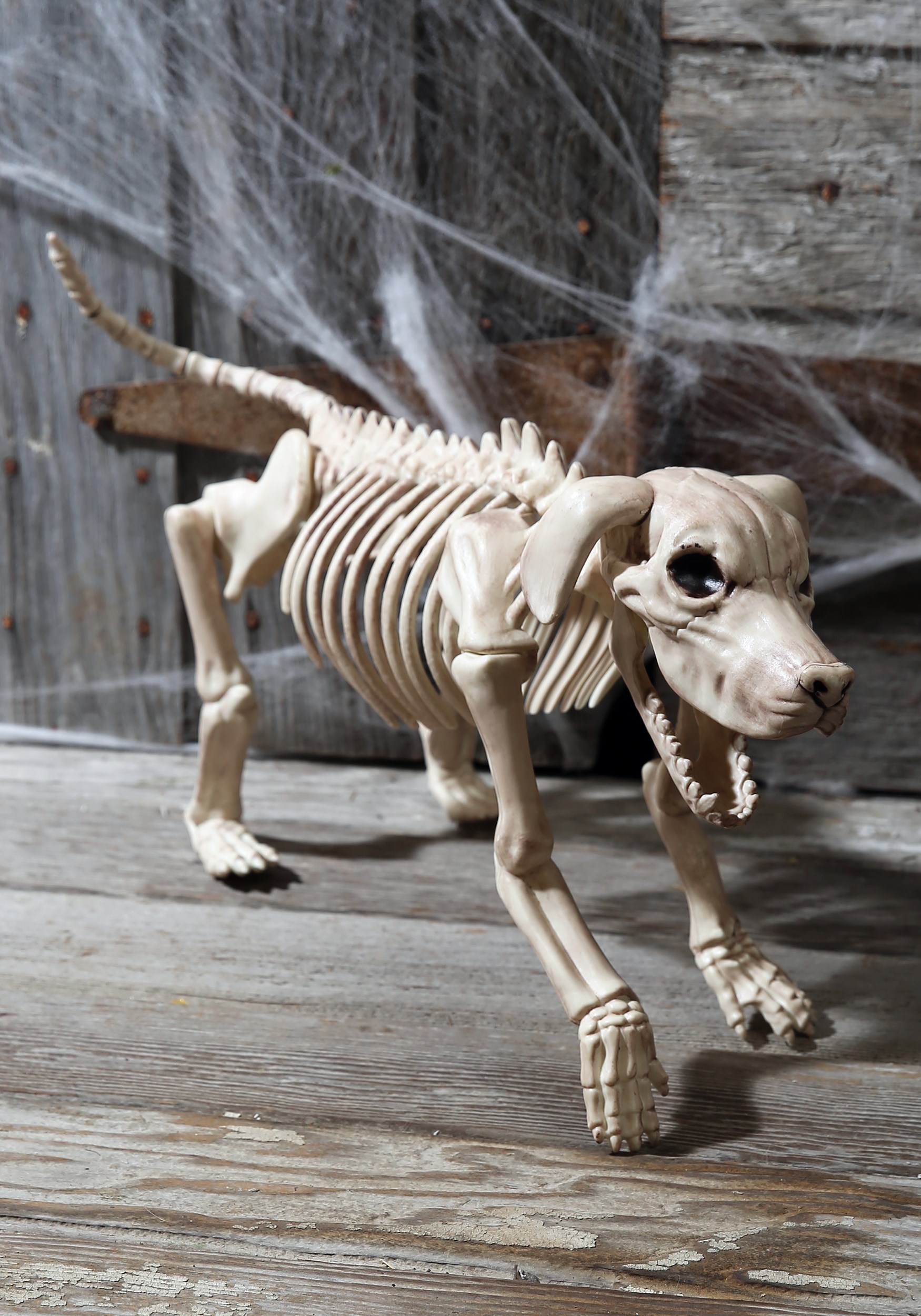 Spike the Skeleton Dog Halloween Decoration