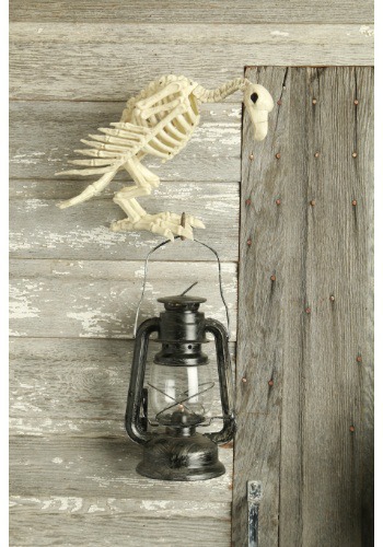 14-Inch Vulture Skeleton Decoration | Animal Skeleton Decorations