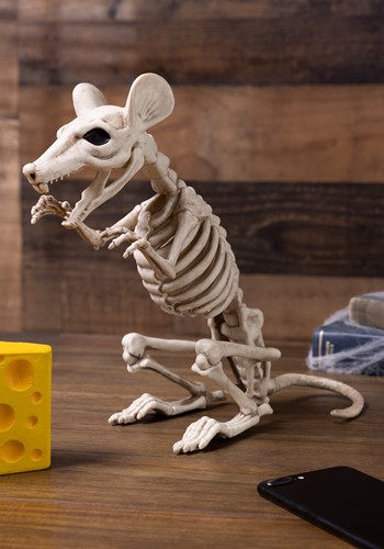 11-Inch Rat Skeleton Decoration | Animal Skeletons