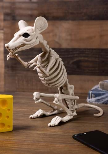 Skeleton Rat