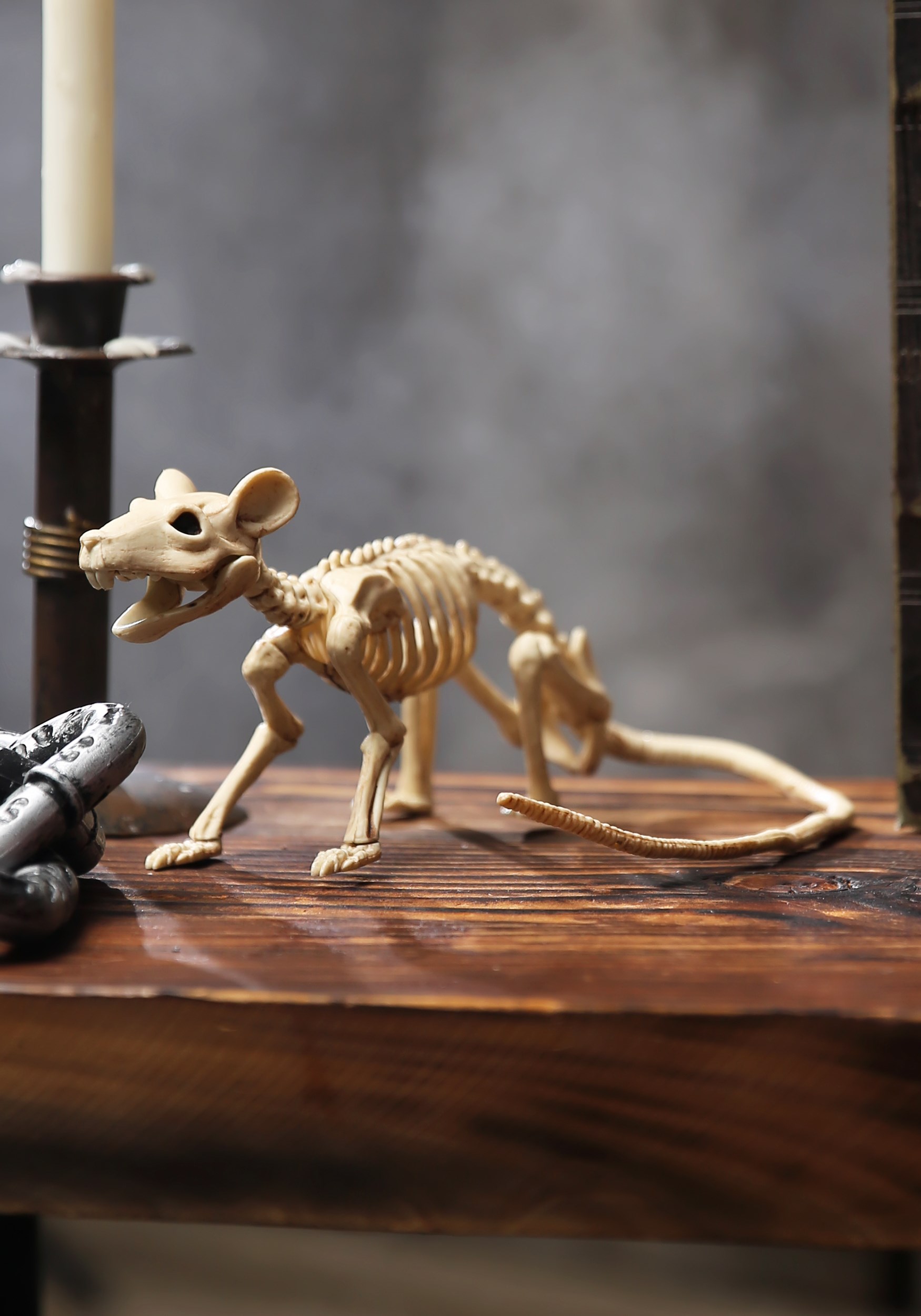 Poseable Skeleton Rat Halloween Prop | Animal Skeletons
