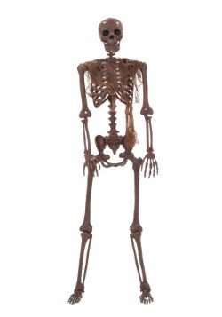 Decayed Poseable Skeleton