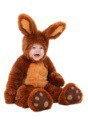 Infant Brown Bunny