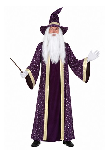 Adult Purple Wizard Costume | Storybook Costumes