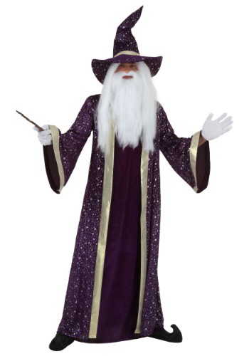 Men's Plus Size Wizard Costume