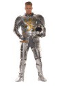 Men's Knight in Shining Armor Costume