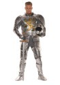 Men's Plus Size Knight in Shining Armor Costume