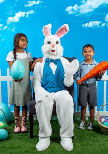 Mascot Happy Easter Bunny Costume | Easter Costumes