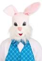 Mascot Easter Bunny Costume Alt 2