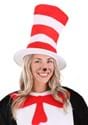 Cat in the Hat Adult Hat 5