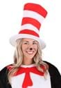 Storybook Cat in the Hat Adult Hat Alt 11