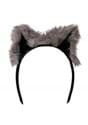 Womens Raccoon Ears and Tail Set Alt 2