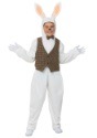 Adult Classic Easter Bunny Costume